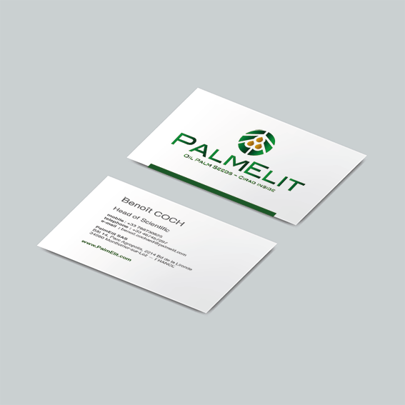 Palmelit : création de charte graphique, logotype et carte de visite
