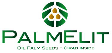 Palmelit