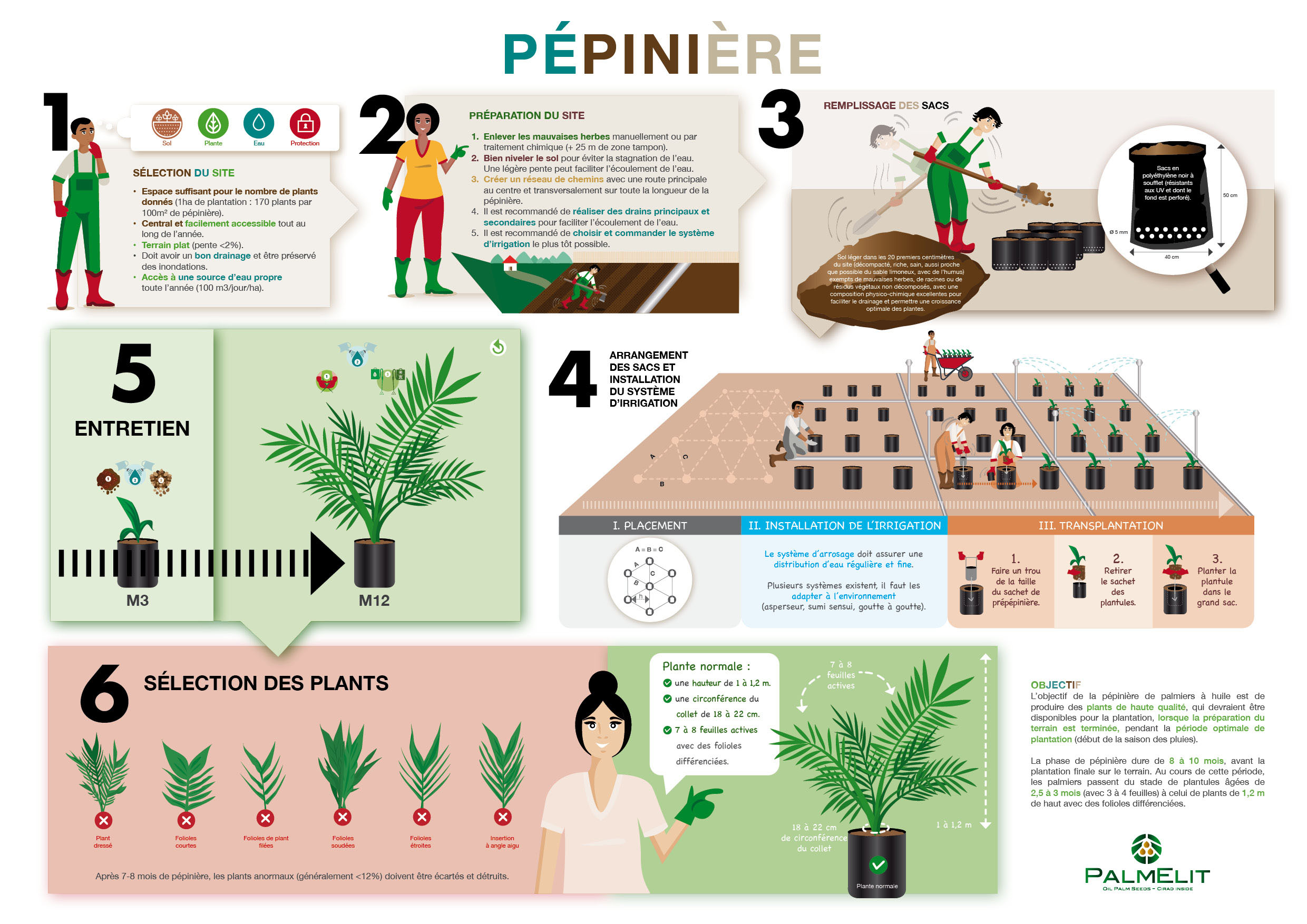 PalmElit : poster pépinière