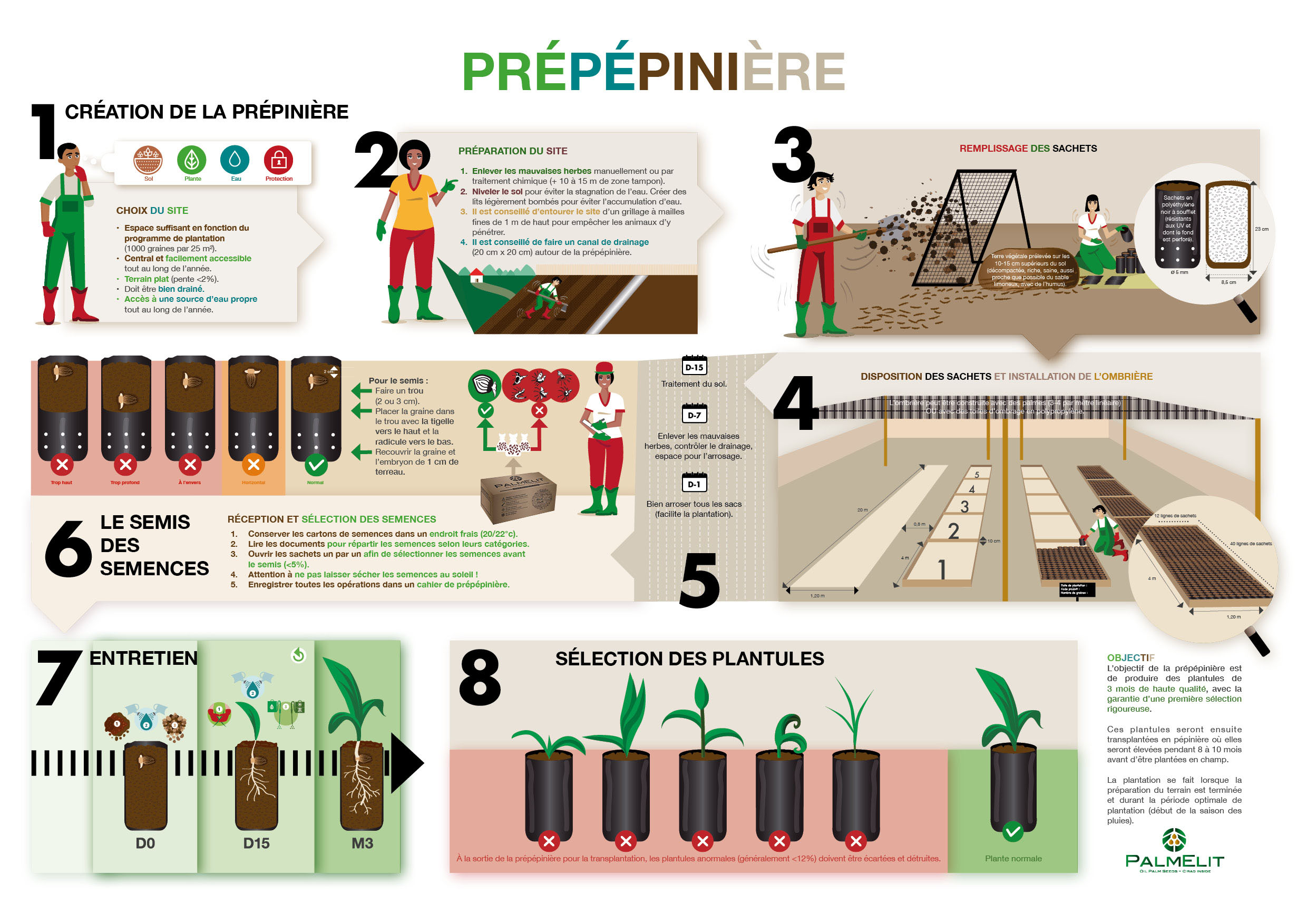 PalmElit : poster prépépinière